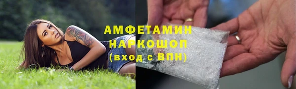 сатива Богданович