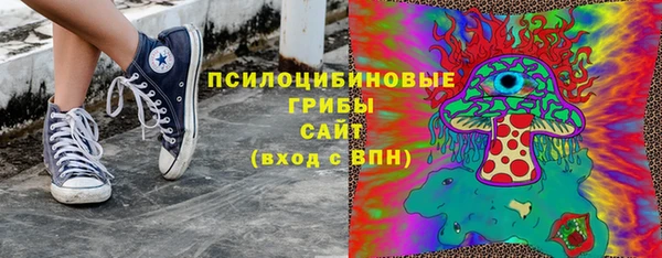 марки lsd Белокуриха